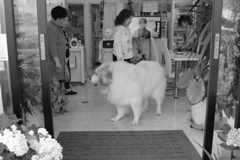 お店番してるココさん