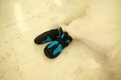 長靴をはいたココさん