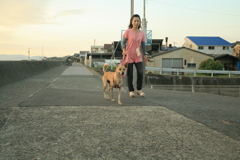 @2019-08-08