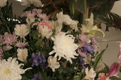 ココさん所の花