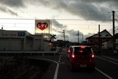 ココちゃんに会いに行く