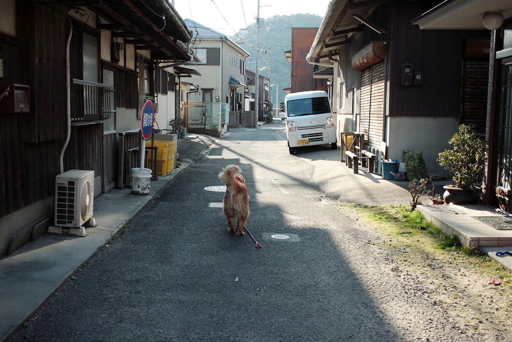 宿に帰るみゅうちゃん