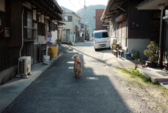 宿に帰るみゅうちゃん