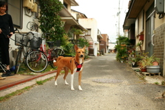 大阪から来てるさくらちゃん