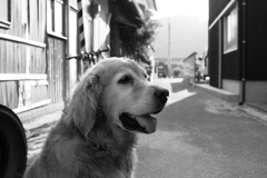 モノクロみゅうちゃん