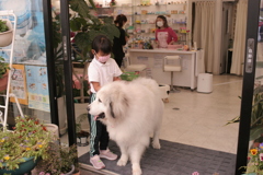 モテモテのココさん