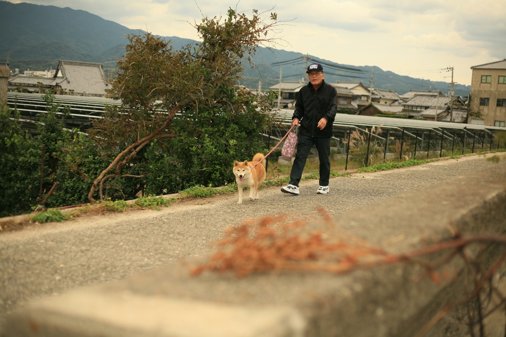 むぎちゃんとお父さん