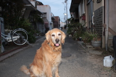 営業本部長みゅうちゃん