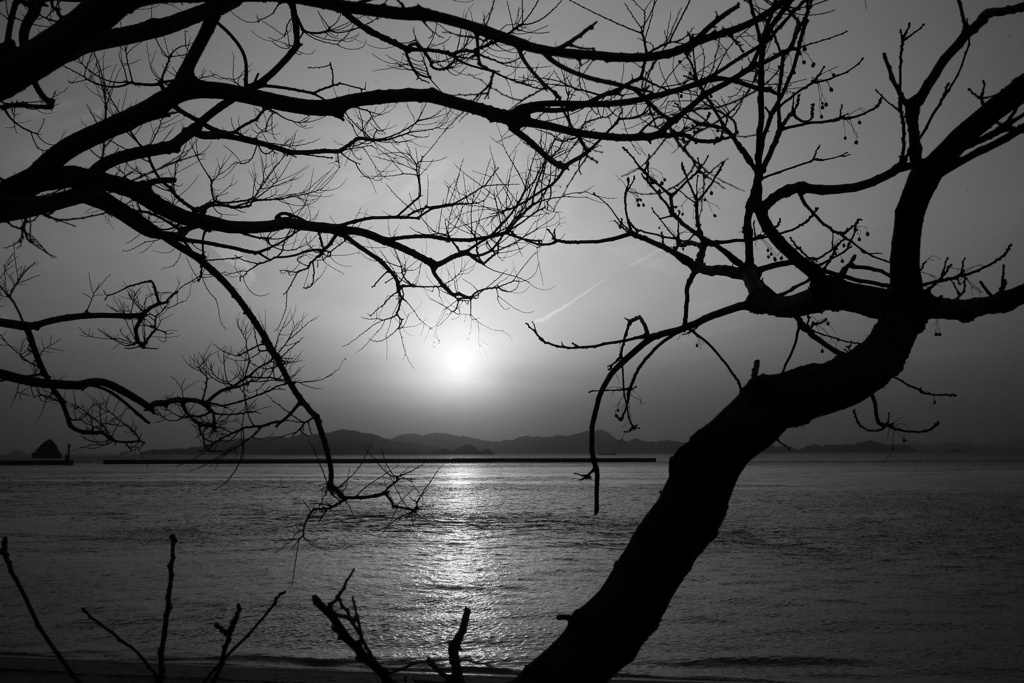 モノクロ＠2020‐03‐21