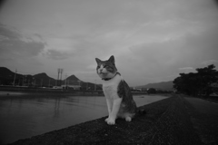 モテモテのトム君