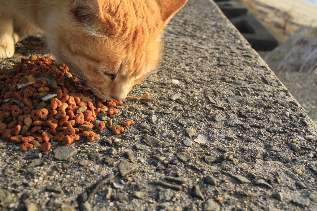 @2018-02-09 けっこうあったかい