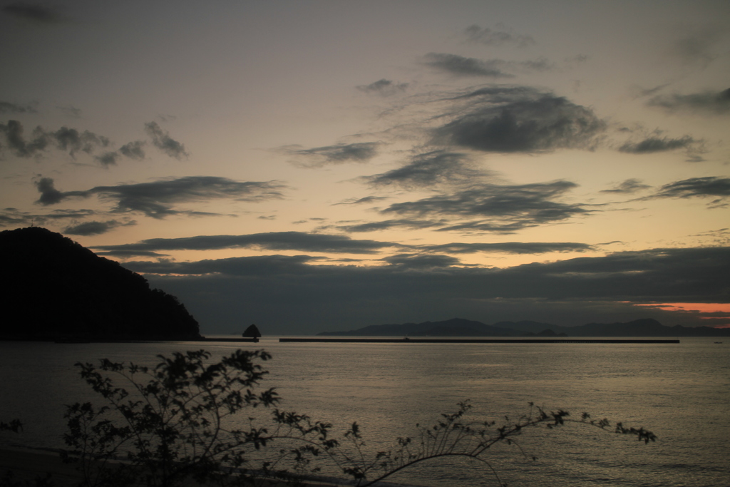 今日も平和な一日だった