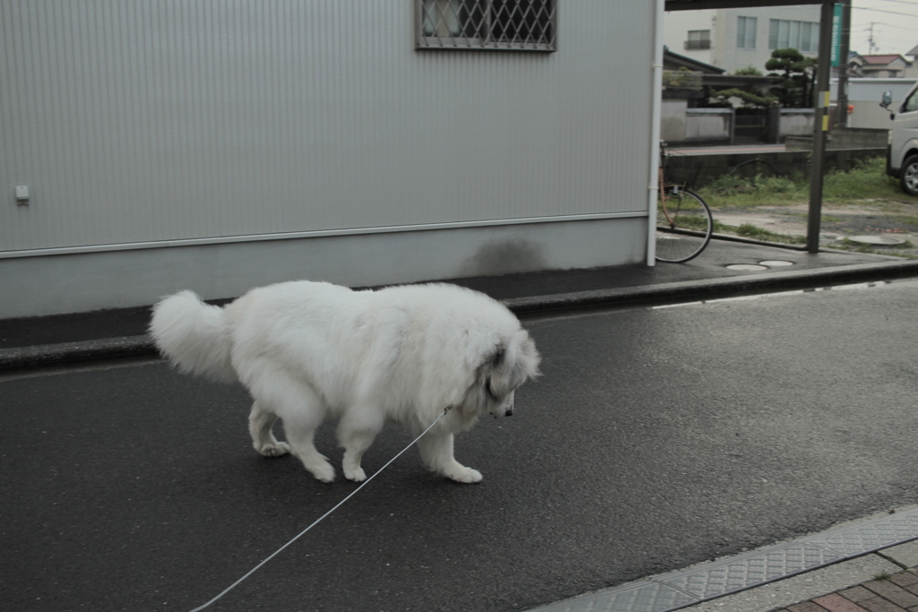 避難勧告くらいじゃだれも避難してない