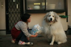 いやいやお手をするココさん