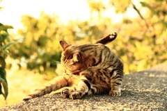 港です 女です 涙です