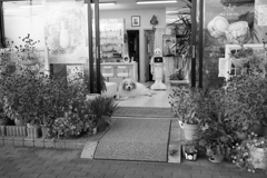 ココ様＠おかべ薬局