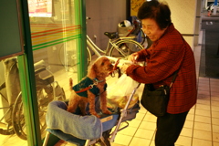 おばあちゃんが帰ってきてうれしい元ちゃん