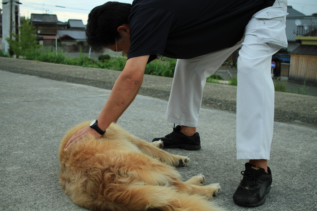 よしよししてもらうみゅうちゃん