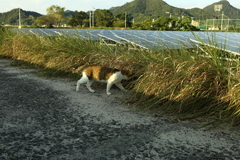 ＠2021‐08‐27