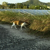 ＠2021‐08‐27