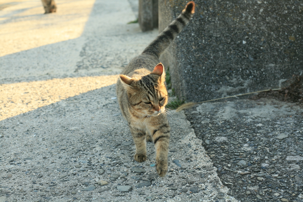 正月もいつも通り!(^^)!