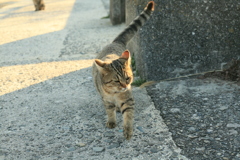 正月もいつも通り!(^^)!