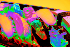 わるいこいね～か～？　悪さしたらこれ食わすぞ！