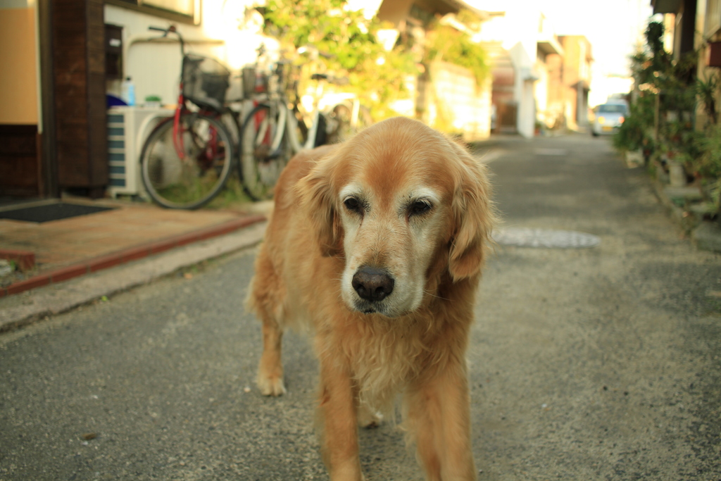 お宿番してる営業本部長みゅうちゃん