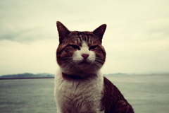 トム君は今日も元気