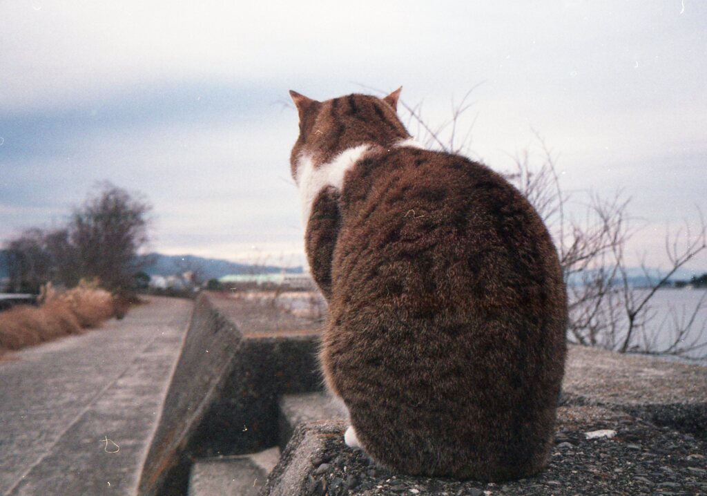 Trip35にて