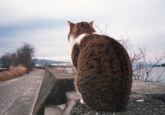 Trip35にて
