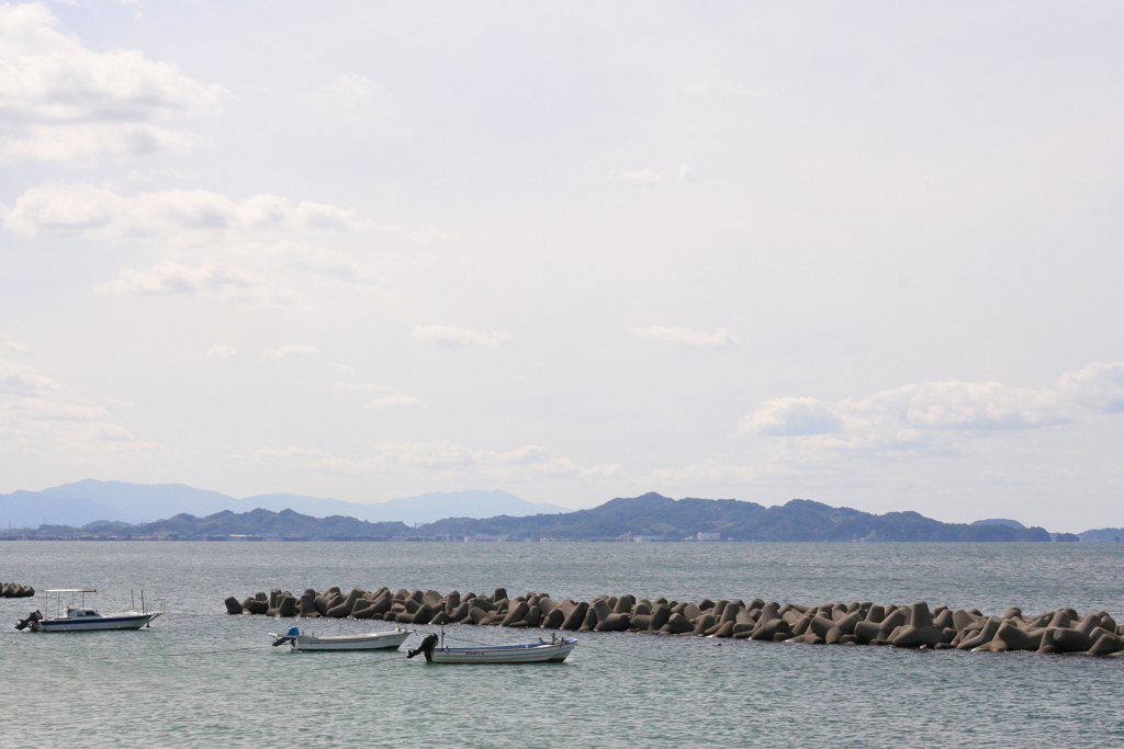 APS-Cに50mmは画角が不自然だな!(^^)!