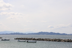 APS-Cに50mmは画角が不自然だな!(^^)!