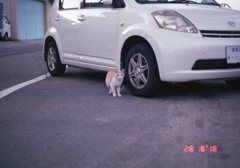 Eos5 Film にて　10月ごろ