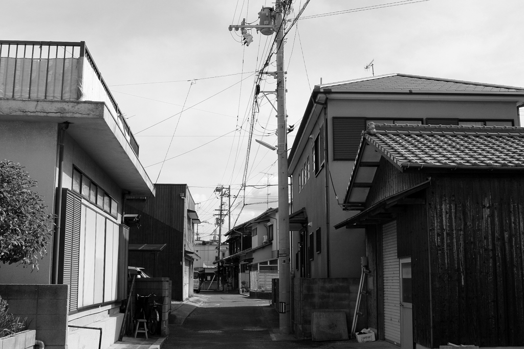 Eos20Dはモノクロにすると絶妙　１