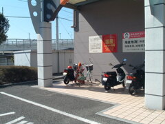 100万画素で激写