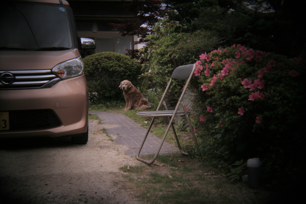 ホルガトイレンズにて