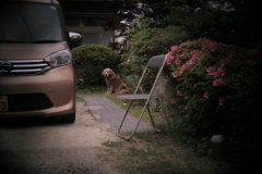 ホルガトイレンズにて