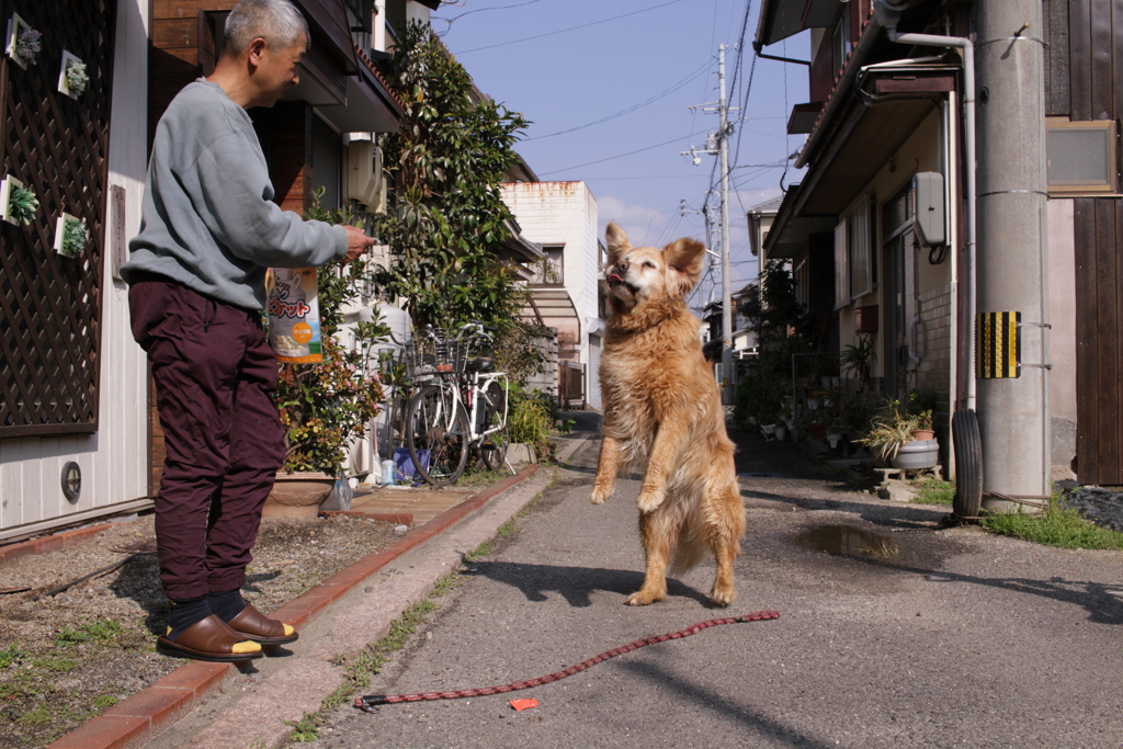 あったかい＠2019-03-21