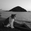 トム君