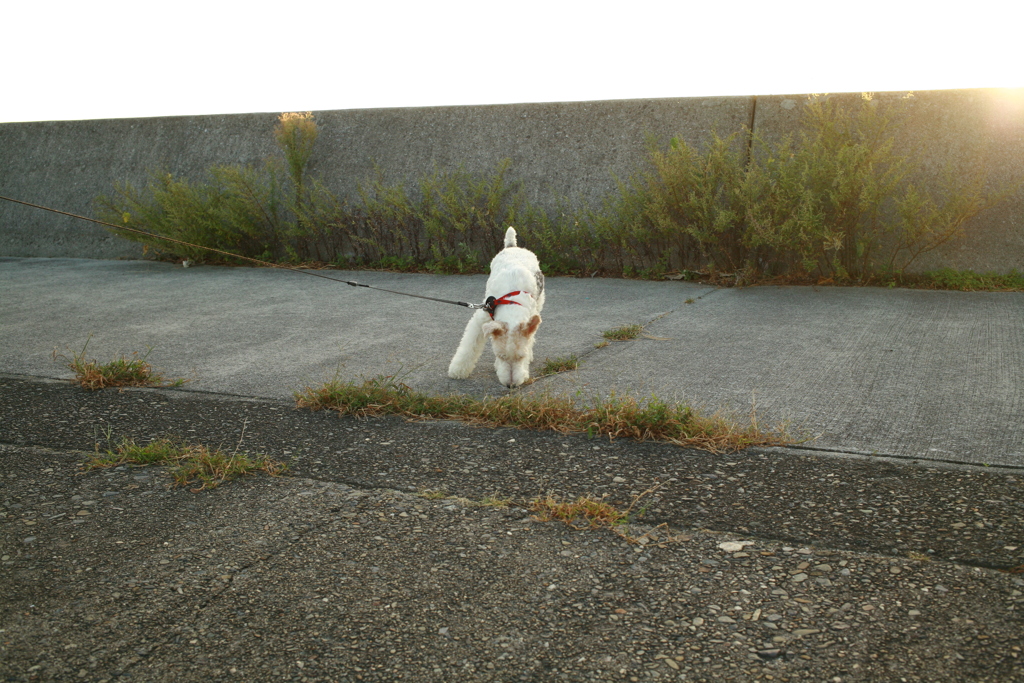 日曜＠2019‐10‐13