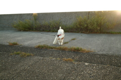 日曜＠2019‐10‐13