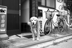 お宿番してるみゅうちゃん