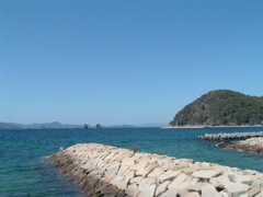 100万画素で激写