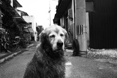 お宿番してるみゅうちゃん