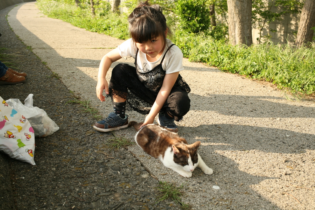 まりんちゃんと猫