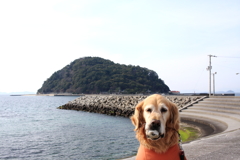 伊予北条観光大使的なみゅうちゃん