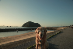 みゅうちゃんと浜に散歩