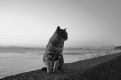 見やすいようにレタッチ