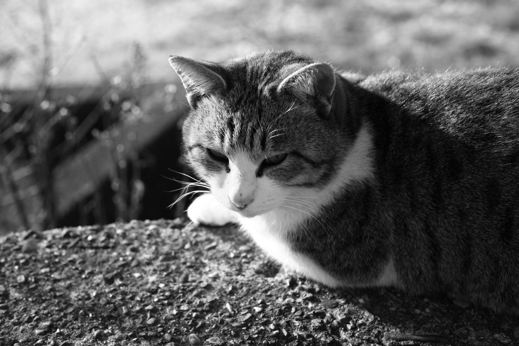 2018写し納　よいお年を！